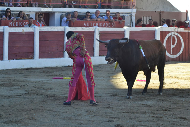 Ante uno de los novillos a los que se ha tenido que enfrentar. (FOTO: CEDIDA)