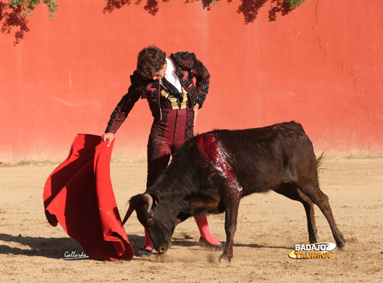 Tulio Salguero.