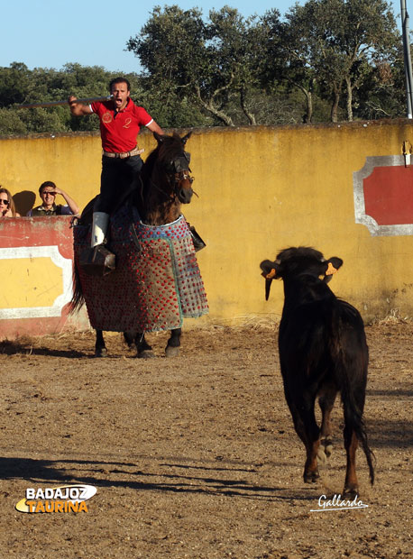 Antonio Ferrera ejerciendo de picador en su casa.