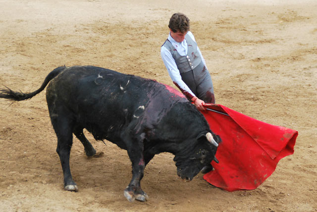 Tomás Angulo.