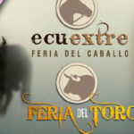 1px