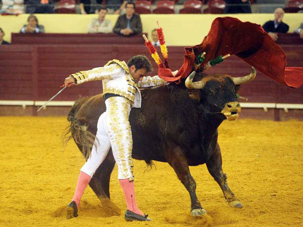 Antonio Ferrera en Campo Pequeno.