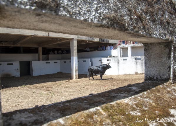 Desembarque de la corrida de Garcigrande.