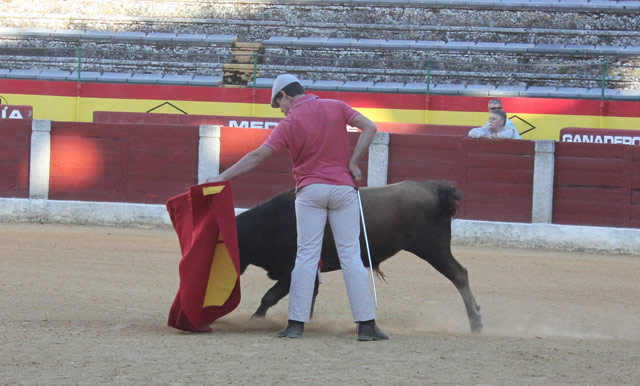 El novillero sin caballos Alberto Blanco.