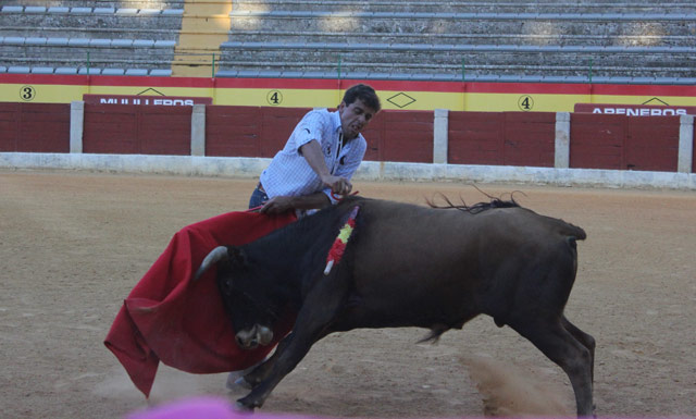 Estocada en los rubios de Fernando González.