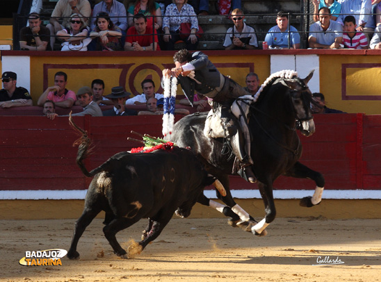 Andy Cartagena poniendo un par a dos manos con 'Laurel' (FOTO:Gallardo)