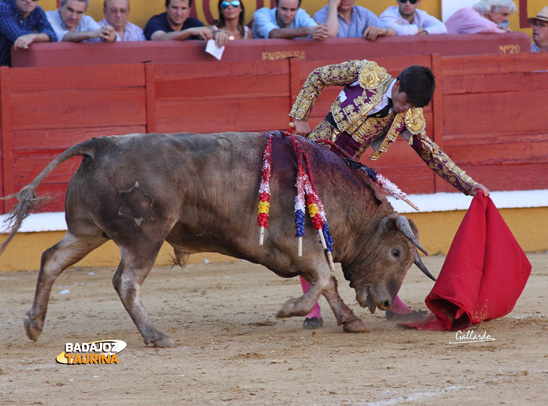 Garrido llevando muy pulseado al natural al jabonero. (FOTO: Gallardo)