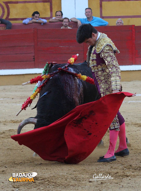 José Garrido.