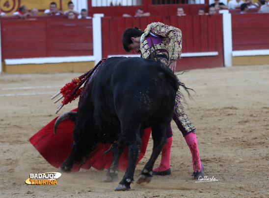 José Garrido.