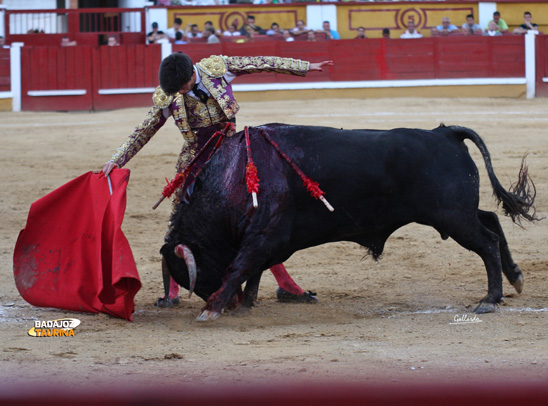 José Garrido.