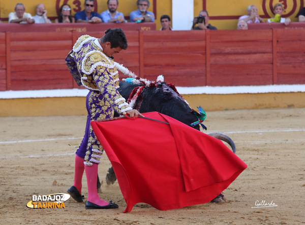 Manzanares muleteando a su primero. (FOTO: Gallardo)