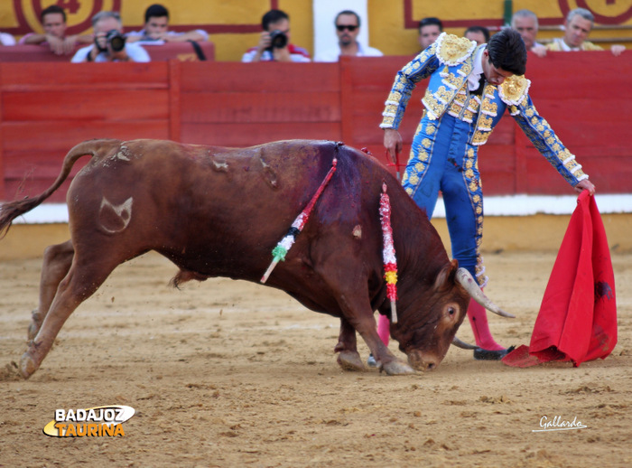 Alejandro Talavante.