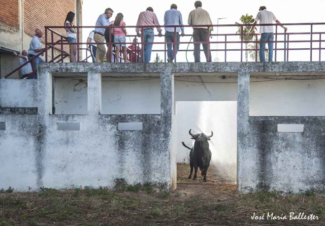 Desembarque de la corrida de Luis Terrón.