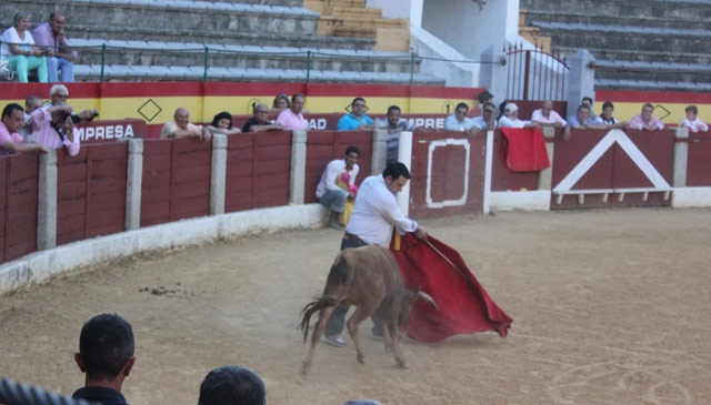 El estilo amorantado de Moreno Chico.