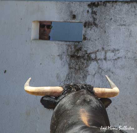 Desembarque de la corrida de Núñez del Cuvillo