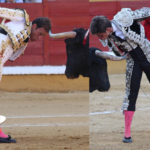 raza2px
