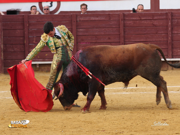 Tomás Campos