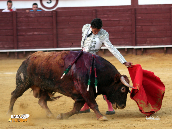 Natural sobre la yema de los dedos. (FOTO: Gallardo)