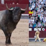 trofeoromana