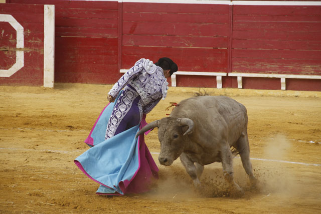 Rubén Lobato el día de su debut con picadores