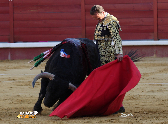 Toreo reposado de Antonio Ferrera en Don Benito. (FOTO: Gallardo)