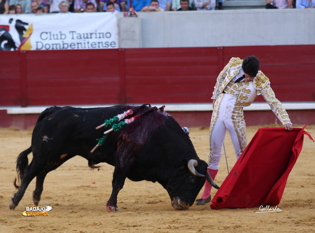 Talavante toreando al natural. (FOTO: Gallardo)