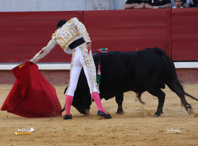 Alejandro Talavante.