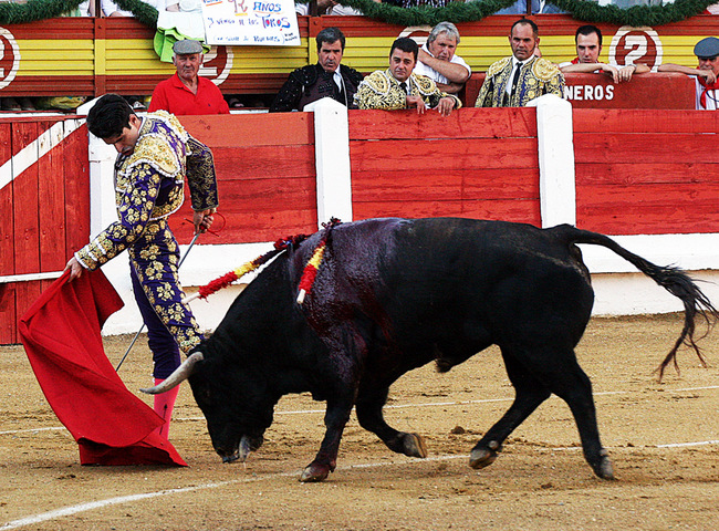 Alejandro Talavante.