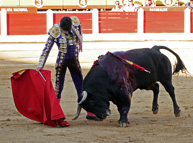 Alejandro Talavante.