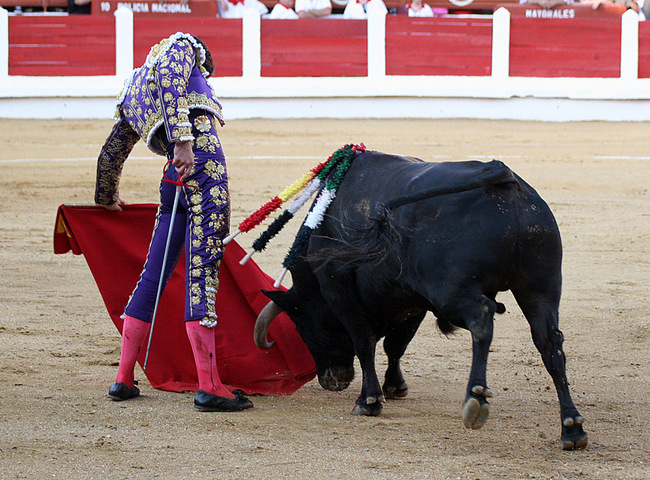 Alejandro Talavante.