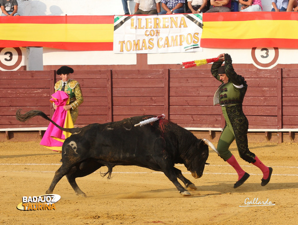 Pepe Elbal clavando palos a las órdenes de Posada de M. (FOTO: Gallardo)