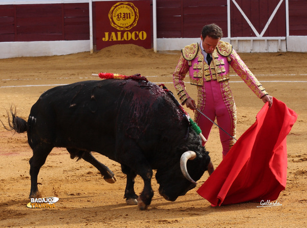 Natural relajado, gustándose, al primero de la tarde. (FOTO: Gallardo)