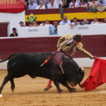 ‘Juguetón’ y ‘El Juli’ en perfecta sinfonía. (FOTO: Gallardo)