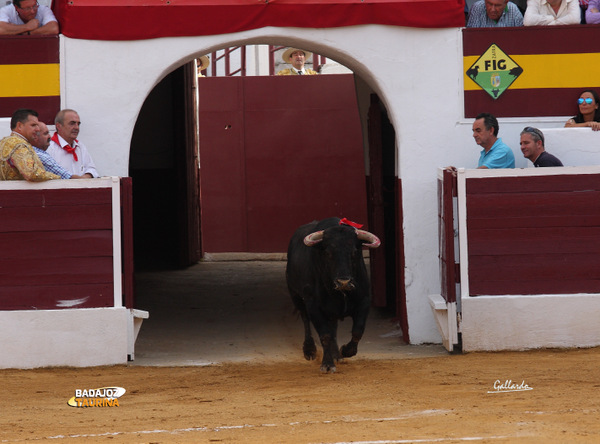 El 'rompepuertas', la que lió en los corrales...