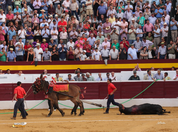 Vuelta al ruedo a 'Juguetón'