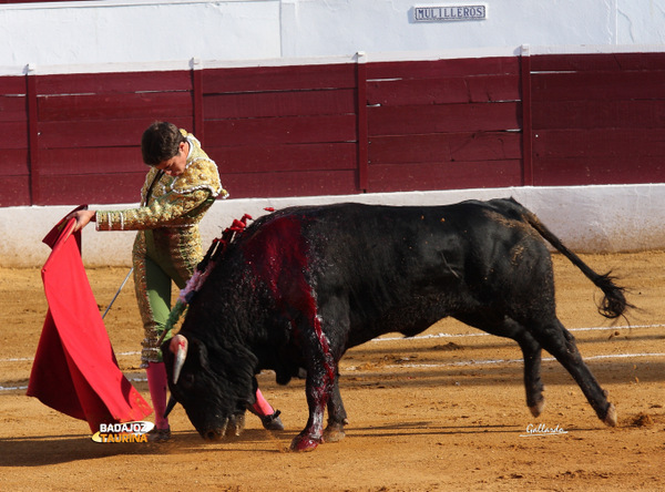 Tulio Salguero