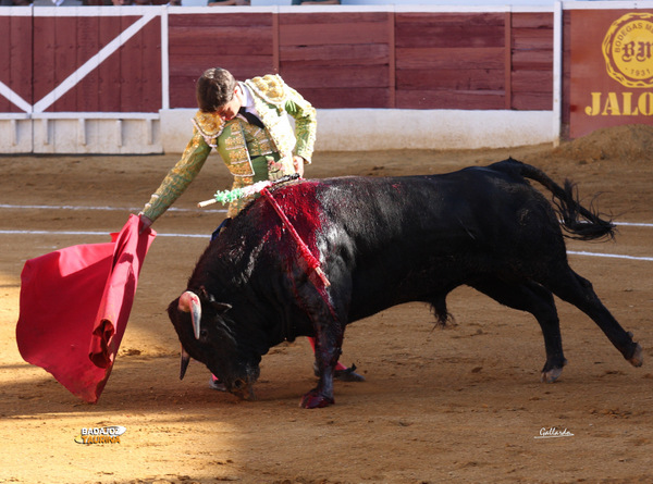 Tulio Salguero encajado en un derechazo. (FOTO: Gallardo)