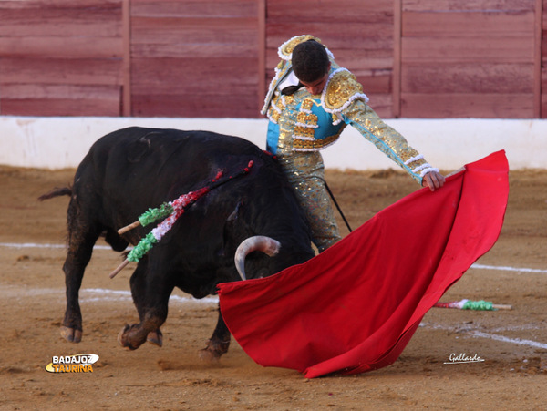 Natural ajustado de Rafael Cerro. (FOTO: Gallardo)