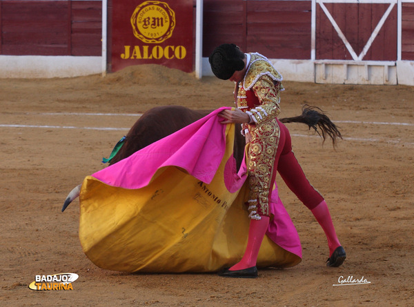 José Garrido