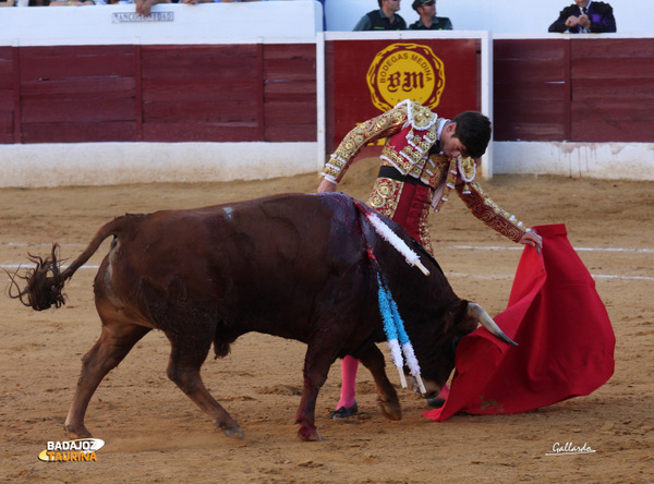 José Garrido