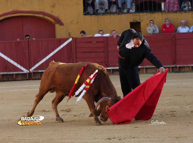 Miguel Murillo