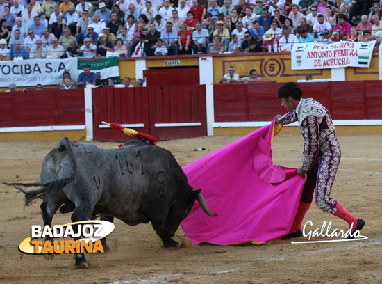 Lidiando el primer victorino de su vida en la encerrona de Badajoz. (FOTO: Gallardo)