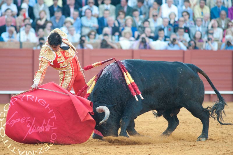 Perera en La Maestranza. (FOTO: López-Matito)