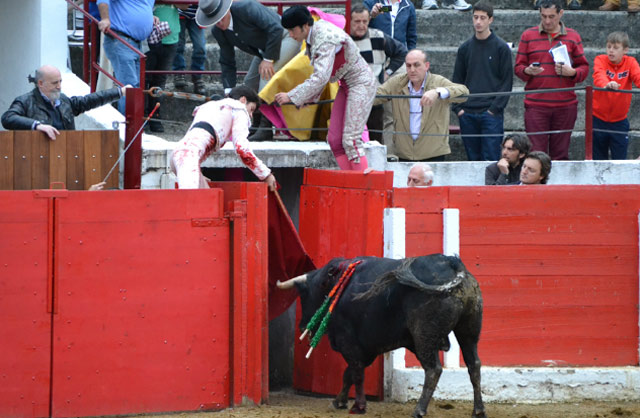 Junto a 'Fini', su hombre de confianza, devolviendo a 'Agitador' a los chiqueros (FOTO: mundotoro)