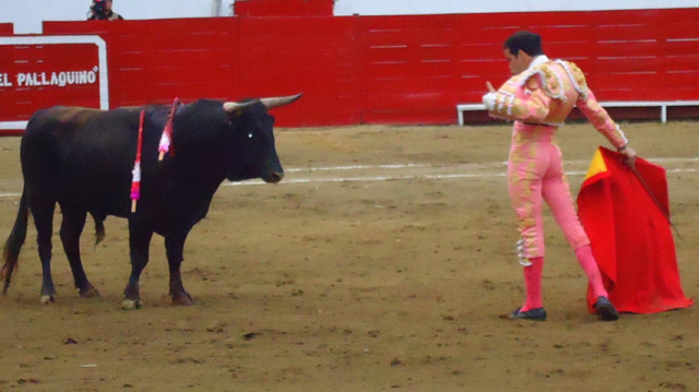 Desplante ante un ejemplar de los lidiados en Perú. (FOTO: CEDIDA)