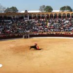 Plaza de toros de Olivenza. (FOTO: Gallardo).