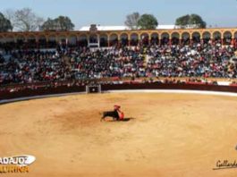 Plaza de toros de Olivenza. (FOTO: Gallardo).