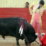 Alejandro Talavante toreando a uno de sus toros en Moroleón. (FOTO: Emilio Méndez/mundotoro.com)