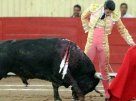 Alejandro Talavante toreando a uno de sus toros en Moroleón. (FOTO: Emilio Méndez/mundotoro.com)