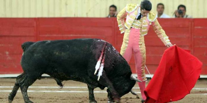 Alejandro Talavante toreando a uno de sus toros en Moroleón. (FOTO: Emilio Méndez/mundotoro.com)